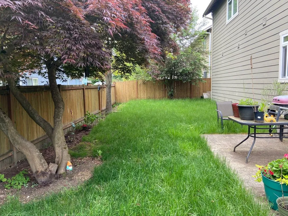 Reliable yard cleanup service in Everet, WA - Easy Lawn Care & Landscaping