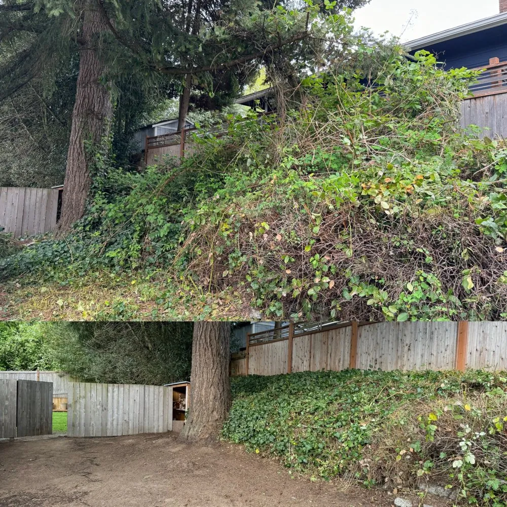 Top-rated landscape design experts serving Everet, WA - Easy Lawn Care & Landscaping