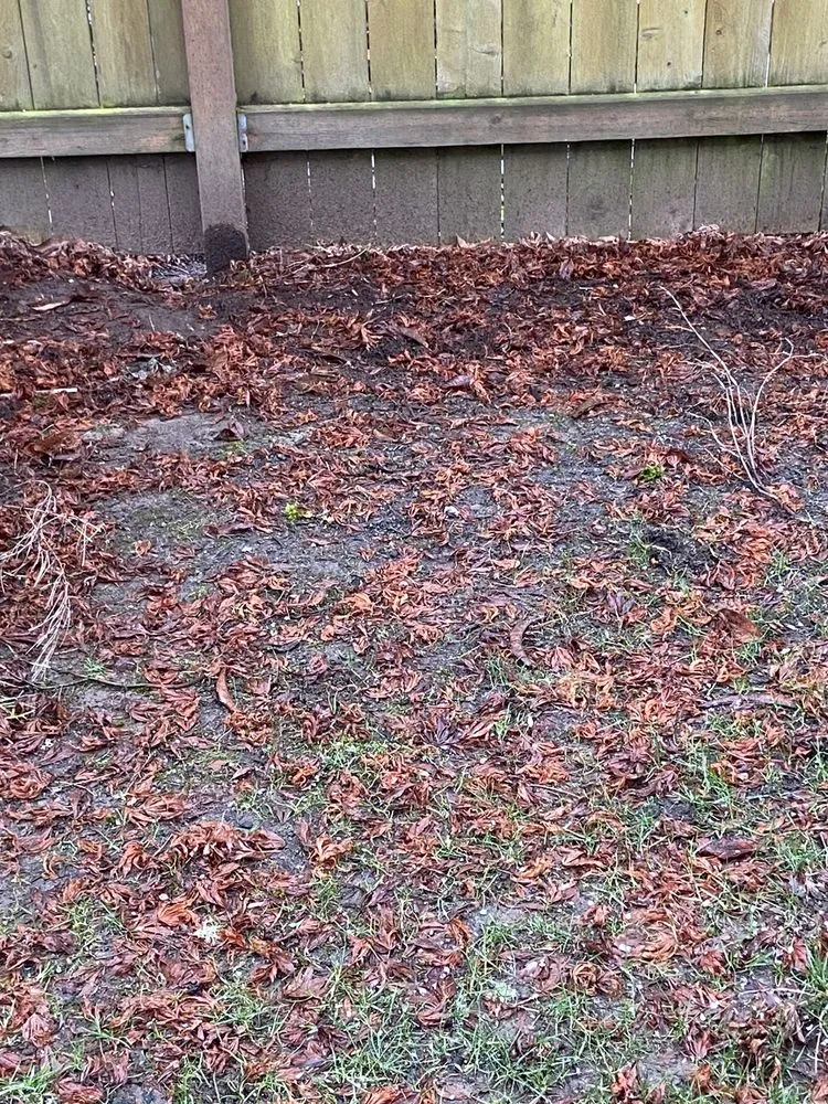 Expert outdoor landscaping experts serving Everet, WA - Easy Lawn Care & Landscaping