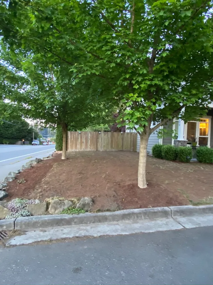 Reliable landscape design experts serving Everet, WA - Easy Lawn Care & Landscaping