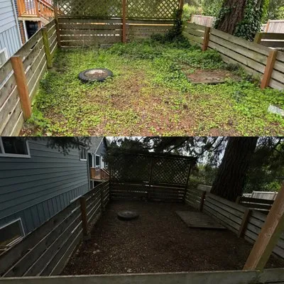 Easy Lawn Care & Landscaping