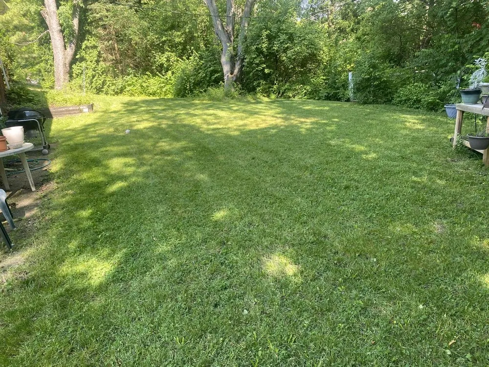 Local outdoor landscaping with custom design across Anderson, IN - Easy Lawn Care