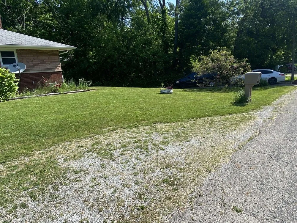 Reliable landscape design in Anderson, IN - Easy Lawn Care