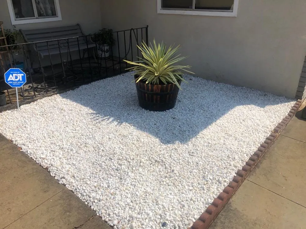 Local yard maintenance for beautiful yards across Fresno, CA - Easy Lawn Care