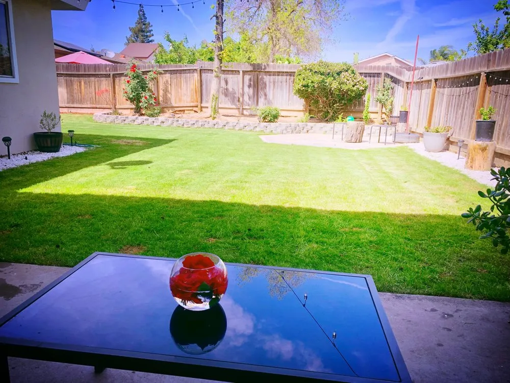 Reliable lawn mowing service experts serving Fresno, CA - Easy Lawn Care