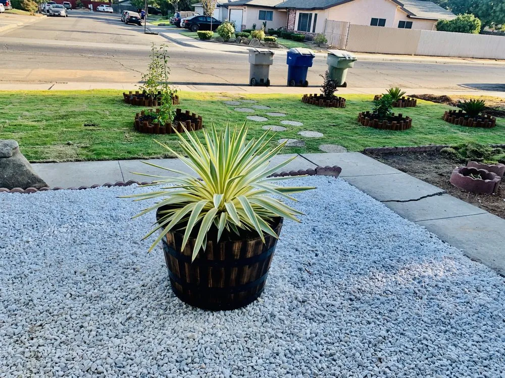 Local outdoor landscaping in Fresno, CA by Easy Lawn Care