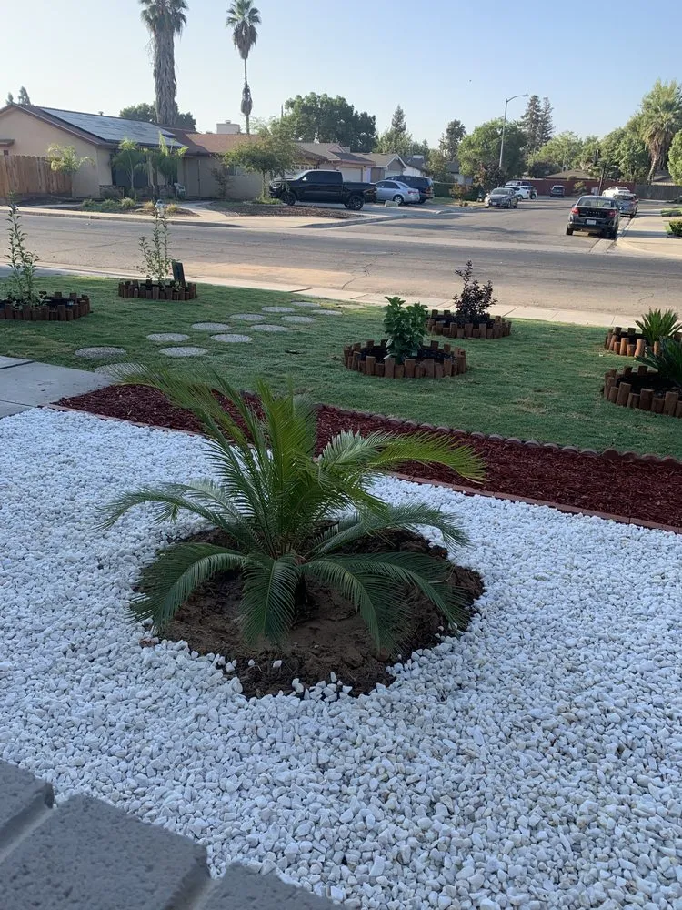 Affordable yard cleanup service for residential properties in Fresno, CA by Easy Lawn Care
