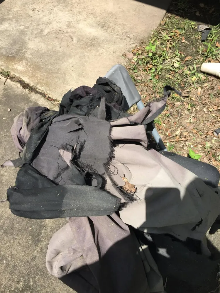 Top-rated lawn care service for year-round maintenance in Houston, TX by Easy Lawn Care