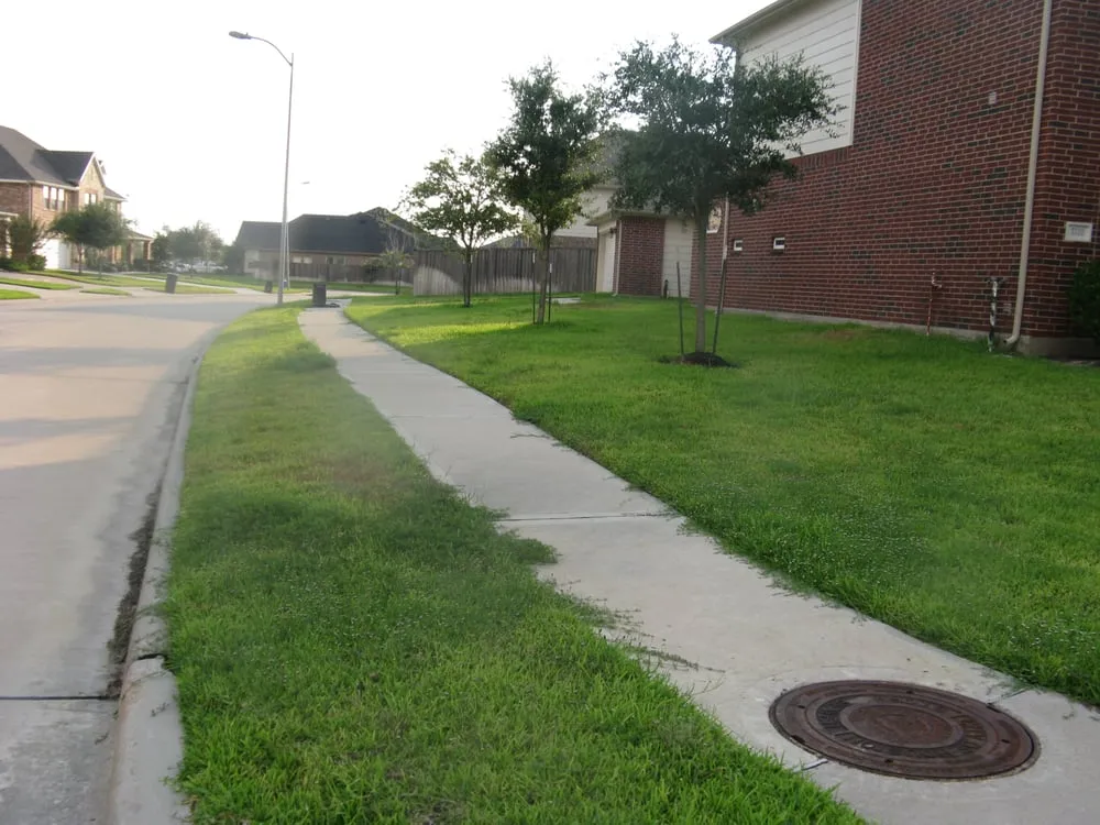 Affordable lawn mowing service experts serving Houston, TX - Easy Lawn Care