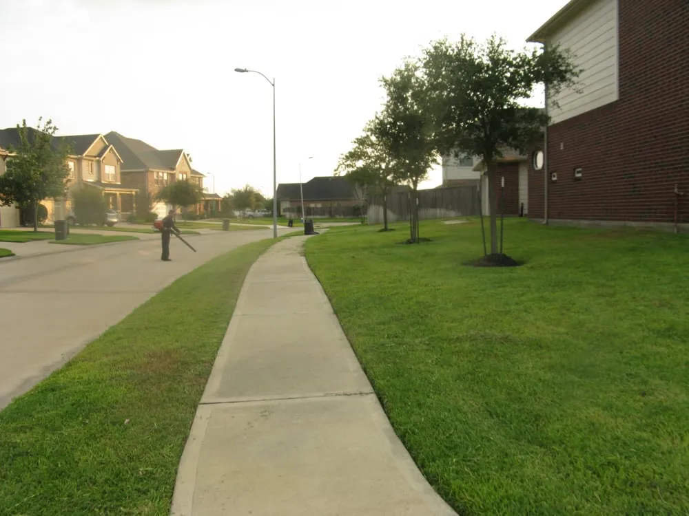Custom landscaping services in Houston, TX - Easy Lawn Care