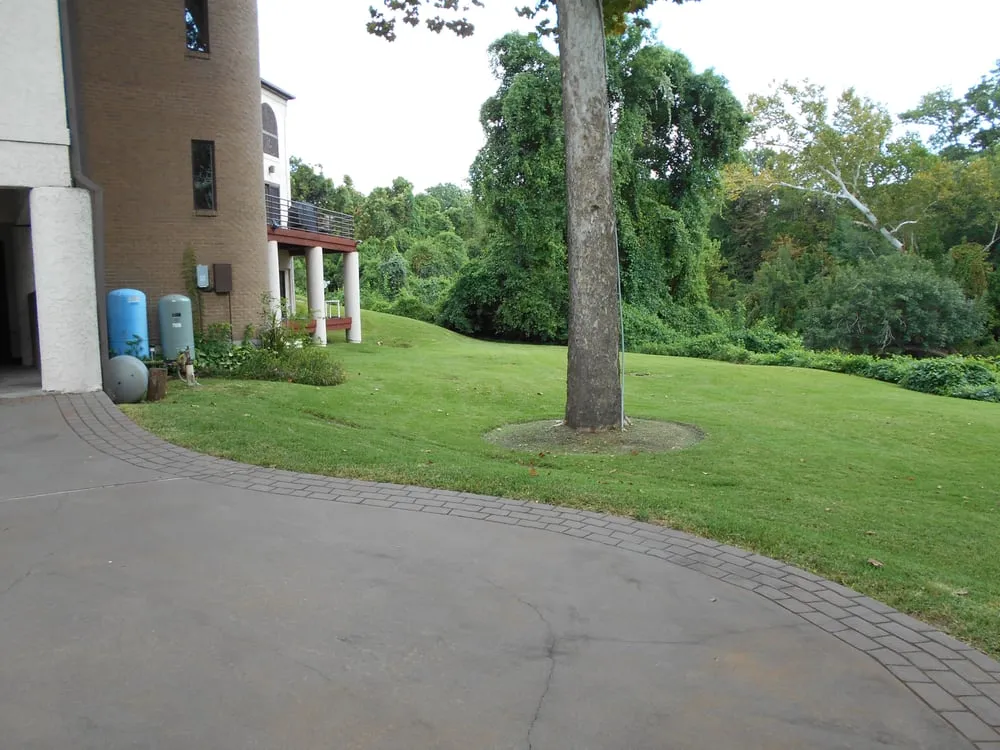 Reliable yard cleanup service in Houston, TX by Easy Lawn Care