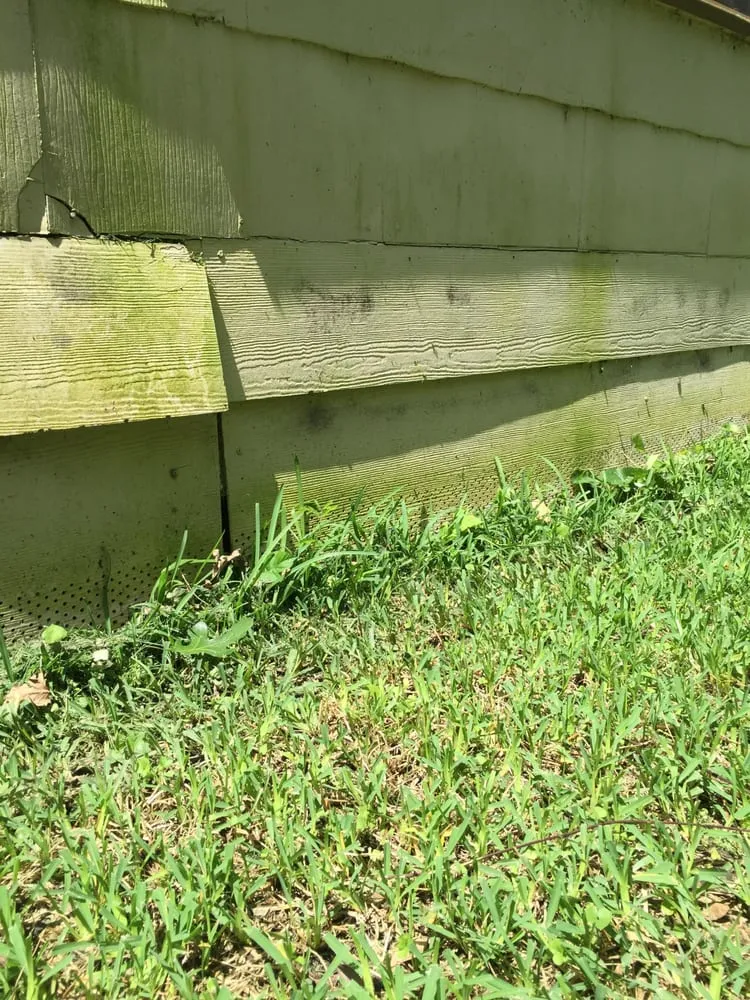 Reliable landscaping services in Houston, TX - Easy Lawn Care