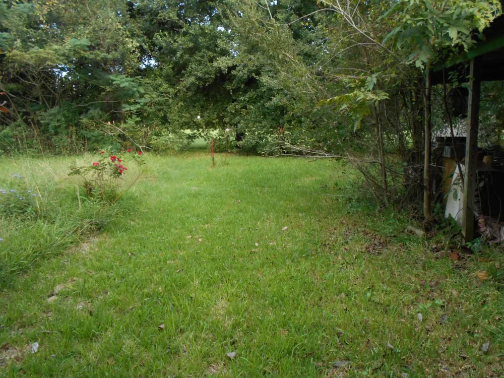 Local landscape installation for residential properties across Houston, TX - Easy Lawn Care