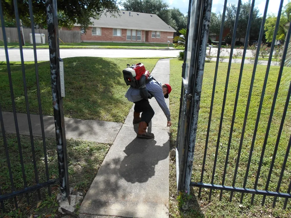 Reliable landscape installation near you across Houston, TX - Easy Lawn Care