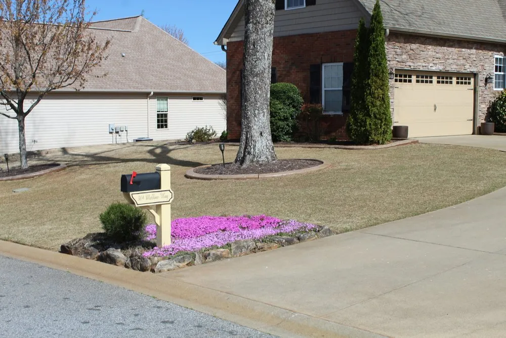 Custom landscape installation experts serving Taylors, SC - Easy Lawn Care