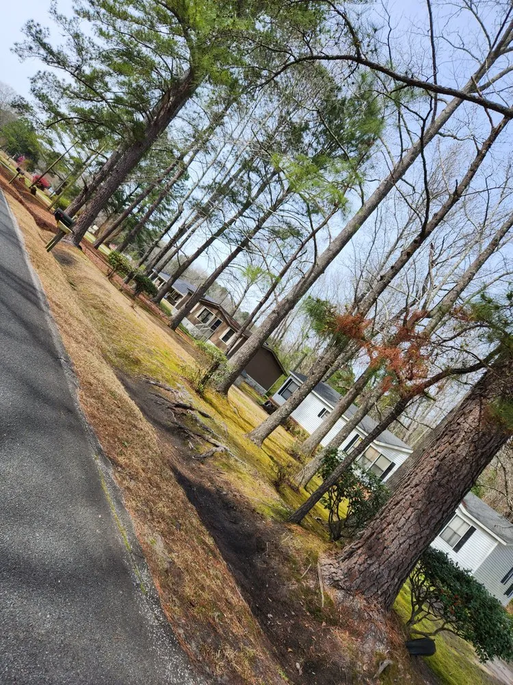 Reliable landscape installation near you across Sumter, SC - Easy Lawn Finishing