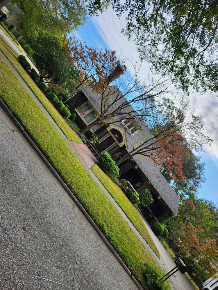 Top-rated residential landscaping for outdoor upgrades across Sumter, SC - Easy Lawn Finishing