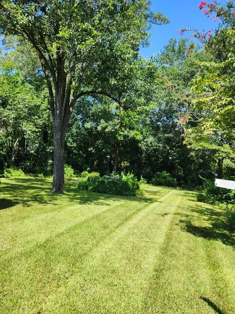 Trusted residential landscaping in Sumter, SC by Easy Lawn Finishing