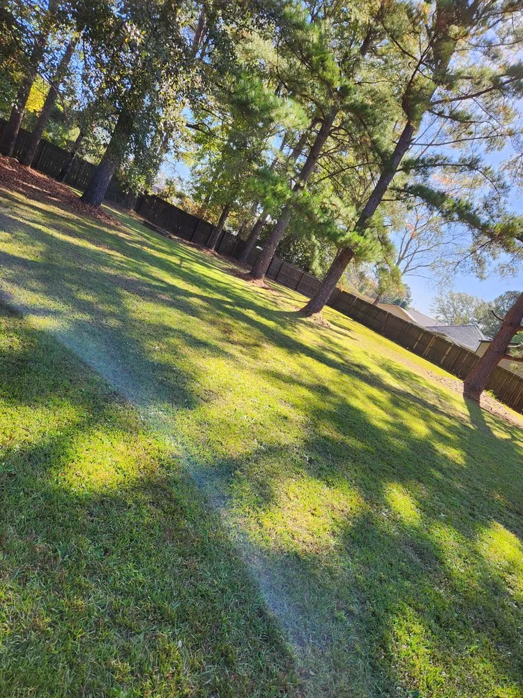 Expert residential landscaping for outdoor upgrades across Sumter, SC - Easy Lawn Finishing