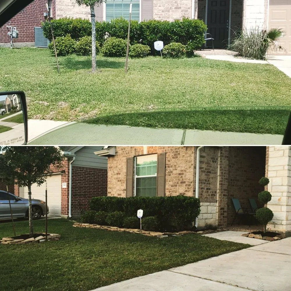 Trusted yard cleanup service in Houston, TX - Easy Money Mowers