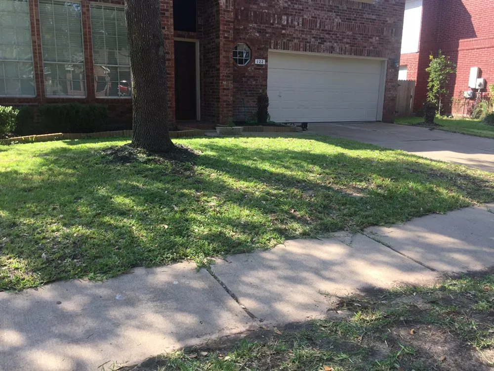 Trusted yard cleanup service in Houston, TX - Easy Money Mowers