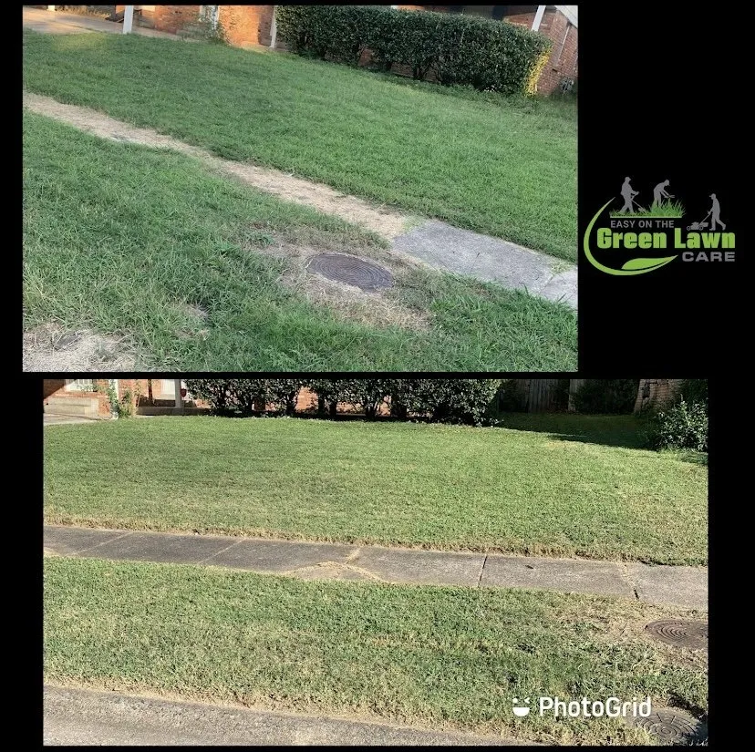 Trusted residential landscaping experts serving Little Rock, AR - Easy On The Green Lawn Care