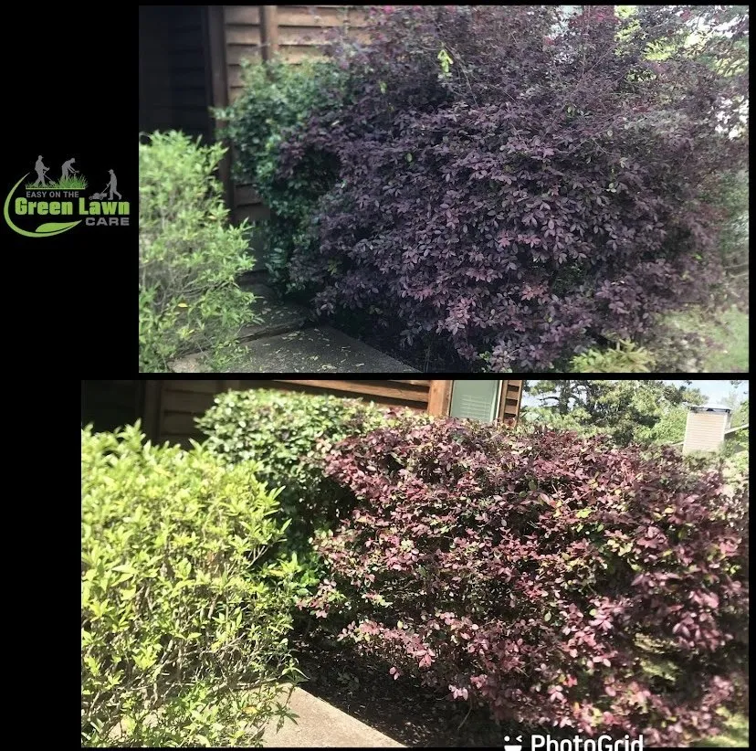 Trusted outdoor landscaping for homes in Little Rock, AR by Easy On The Green Lawn Care