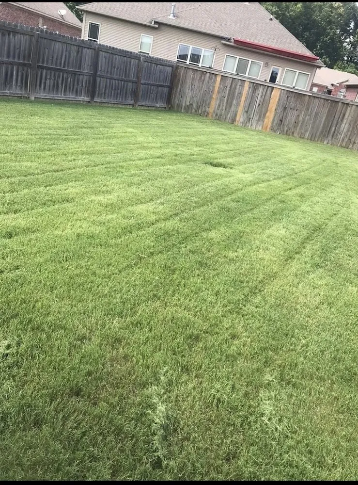 Trusted yard cleanup service for year-round maintenance across Little Rock, AR - Easy On The Green Lawn Care