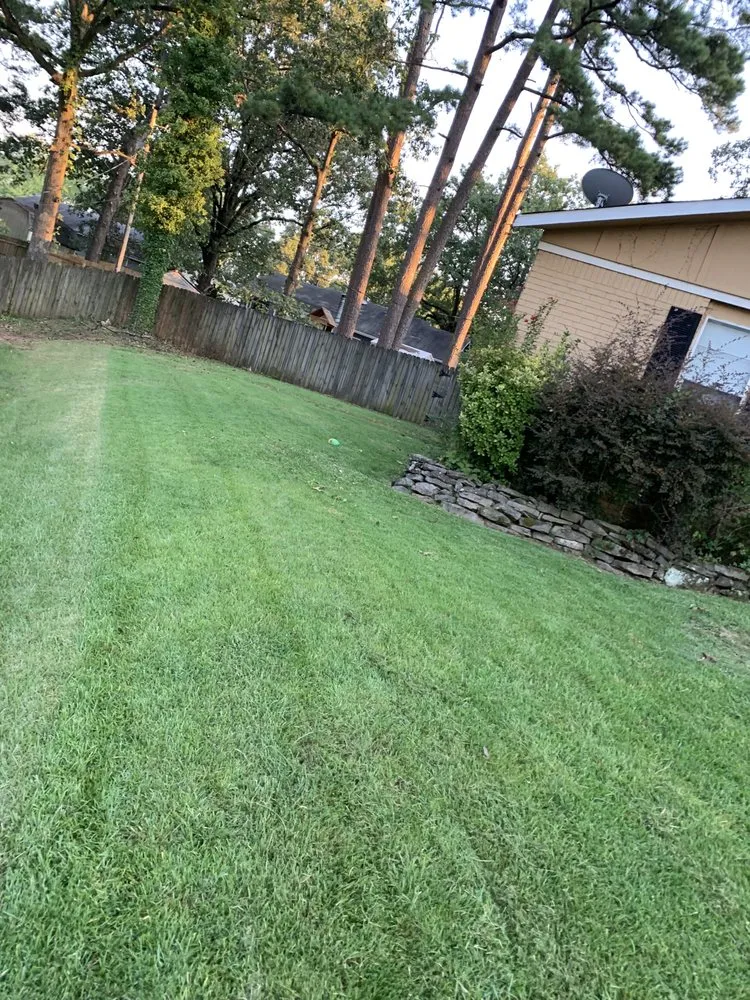 Top-rated yard cleanup service in Little Rock, AR - Easy On The Green Lawn Care