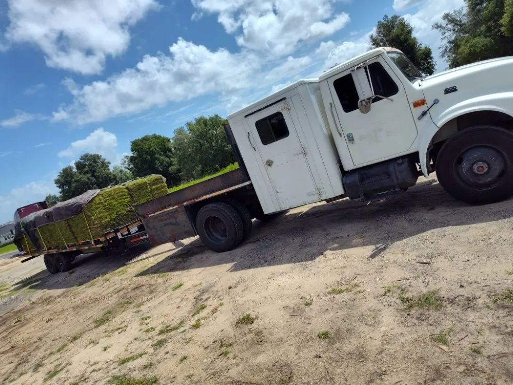 Professional yard maintenance experts serving Lake Alfred, FL - Easy Outdoors Designs