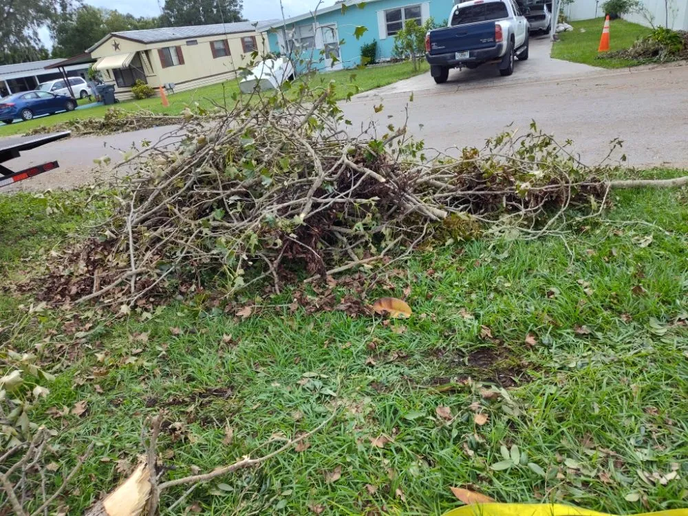 Top-rated landscape installation in Lake Alfred, FL - Easy Outdoors Designs