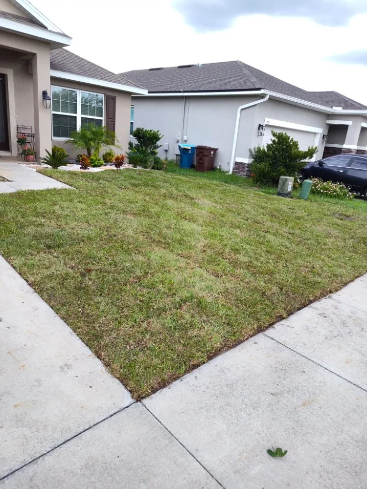 Affordable landscape design for year-round maintenance in Lake Alfred, FL by Easy Outdoors Designs