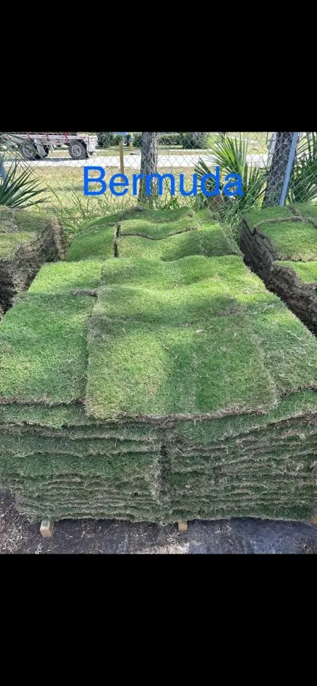 Professional landscaping services for beautiful yards in Lake Alfred, FL by Easy Outdoors Designs