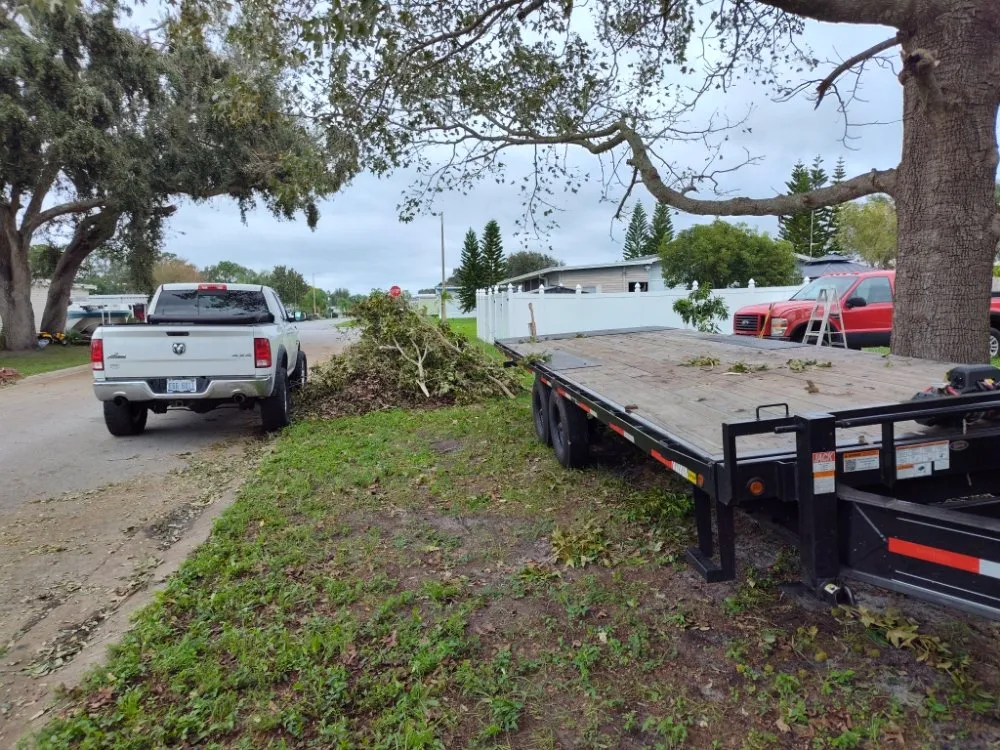 Trusted residential landscaping for beautiful yards in Lake Alfred, FL by Easy Outdoors Designs