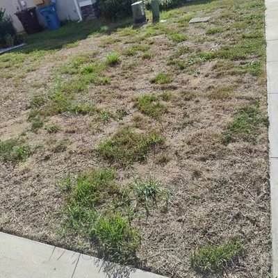 Easy Outdoors Designs