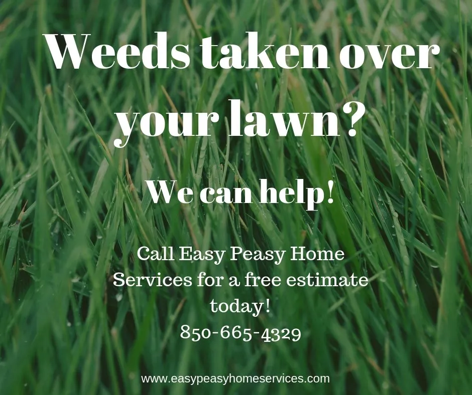 Reliable lawn care service experts serving Milton, FL - Easy Peasy Home Services