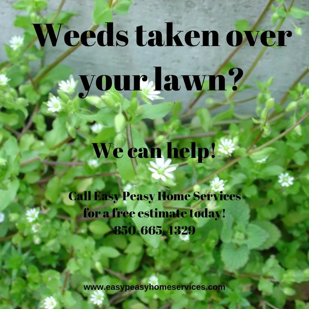 Professional garden landscaping for residential properties in Milton, FL by Easy Peasy Home Services