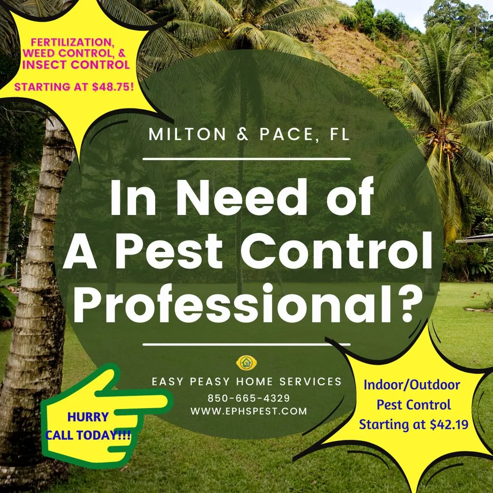 Top-rated yard cleanup service for year-round maintenance across Milton, FL - Easy Peasy Home Services