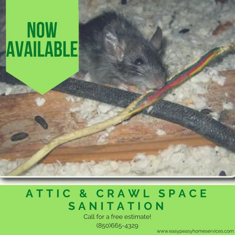 Professional garden landscaping for outdoor upgrades across Milton, FL - Easy Peasy Home Services