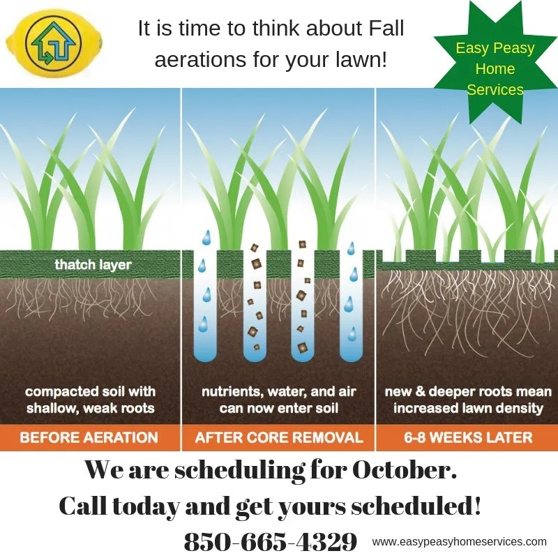 Custom landscaping services in Milton, FL by Easy Peasy Home Services