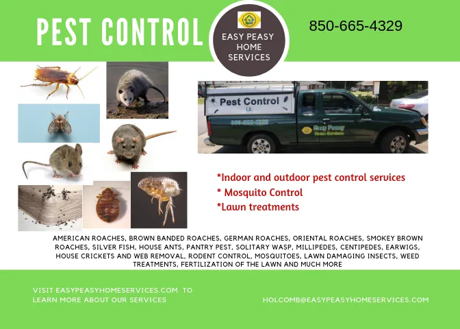 Expert landscaping services in Milton, FL - Easy Peasy Home Services