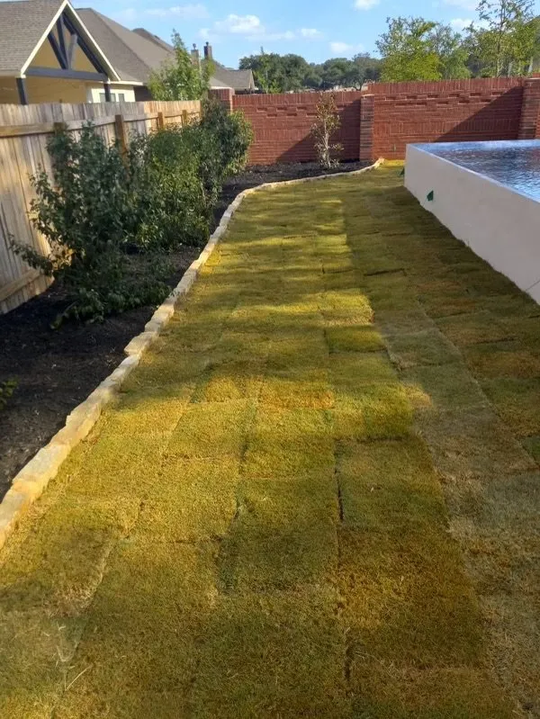 Local landscaping services for beautiful yards in Boerne, TX by Easy Turf Landscaping