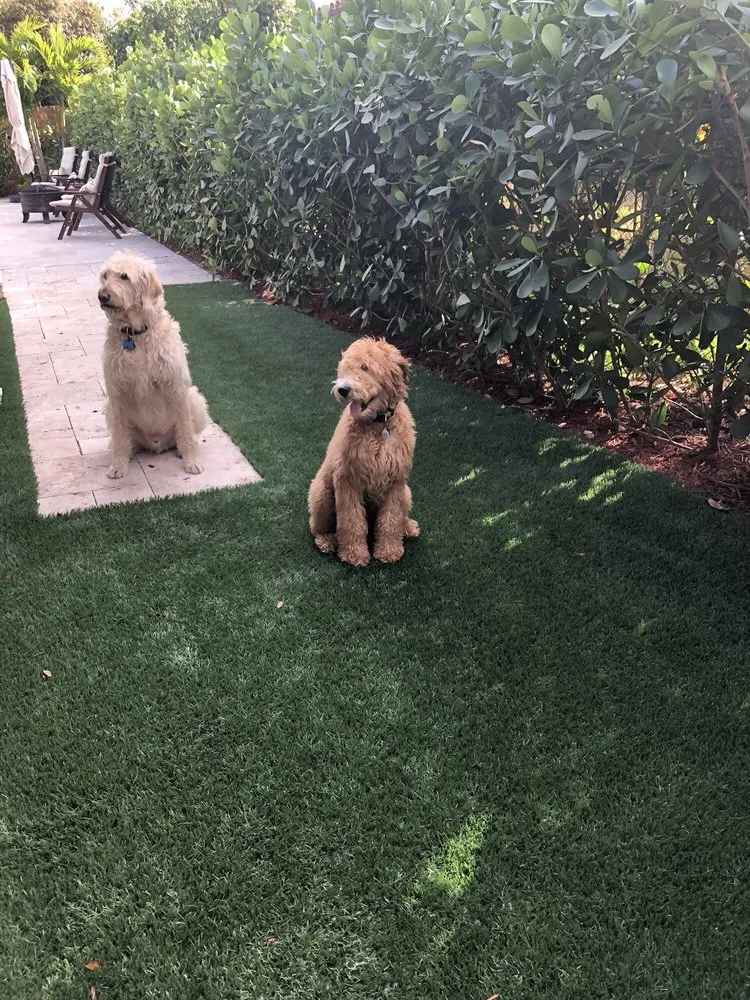 Professional lawn mowing service for homes across Miami, FL - EasyGrass