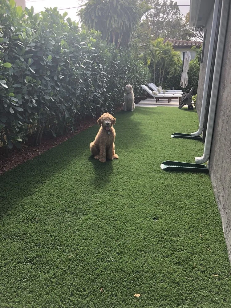 Expert yard maintenance experts serving Miami, FL - EasyGrass