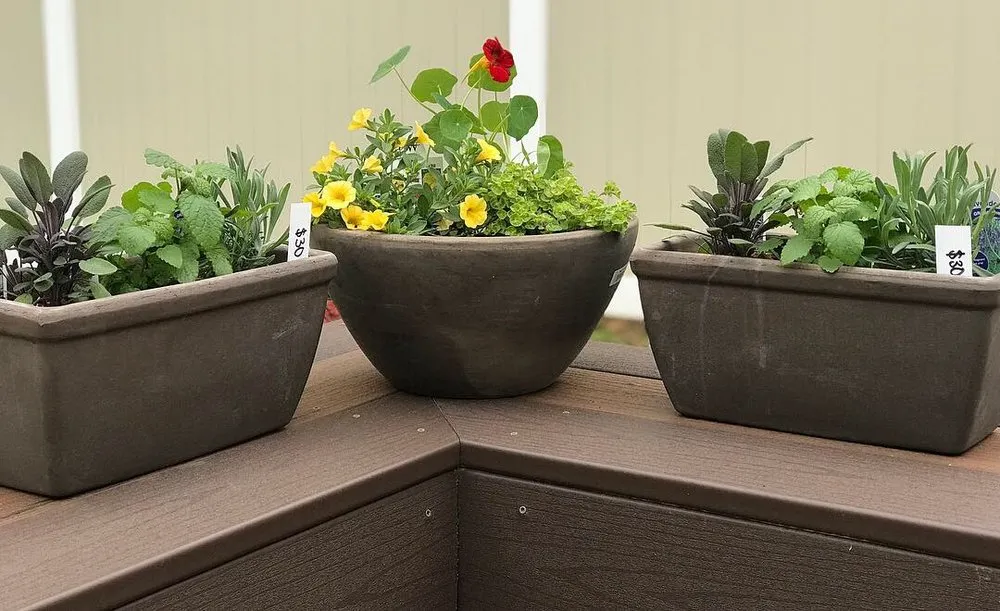 Trusted landscaping services for year-round maintenance in Philadelphia, PA by Eating for the Ecosystem