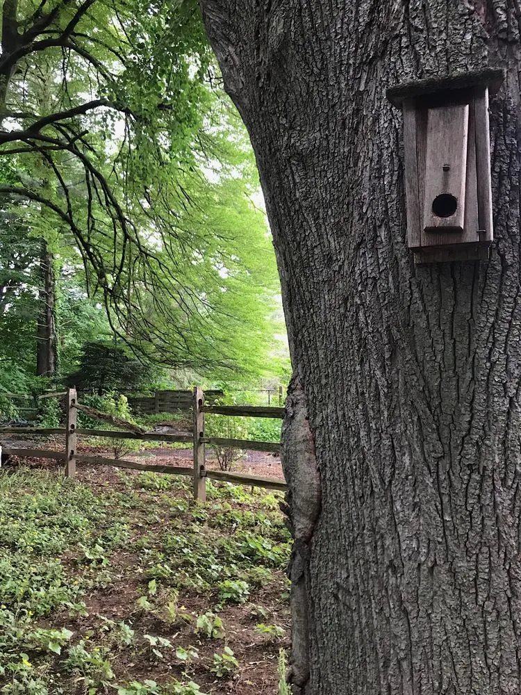 Expert outdoor landscaping experts serving Philadelphia, PA - Eating for the Ecosystem