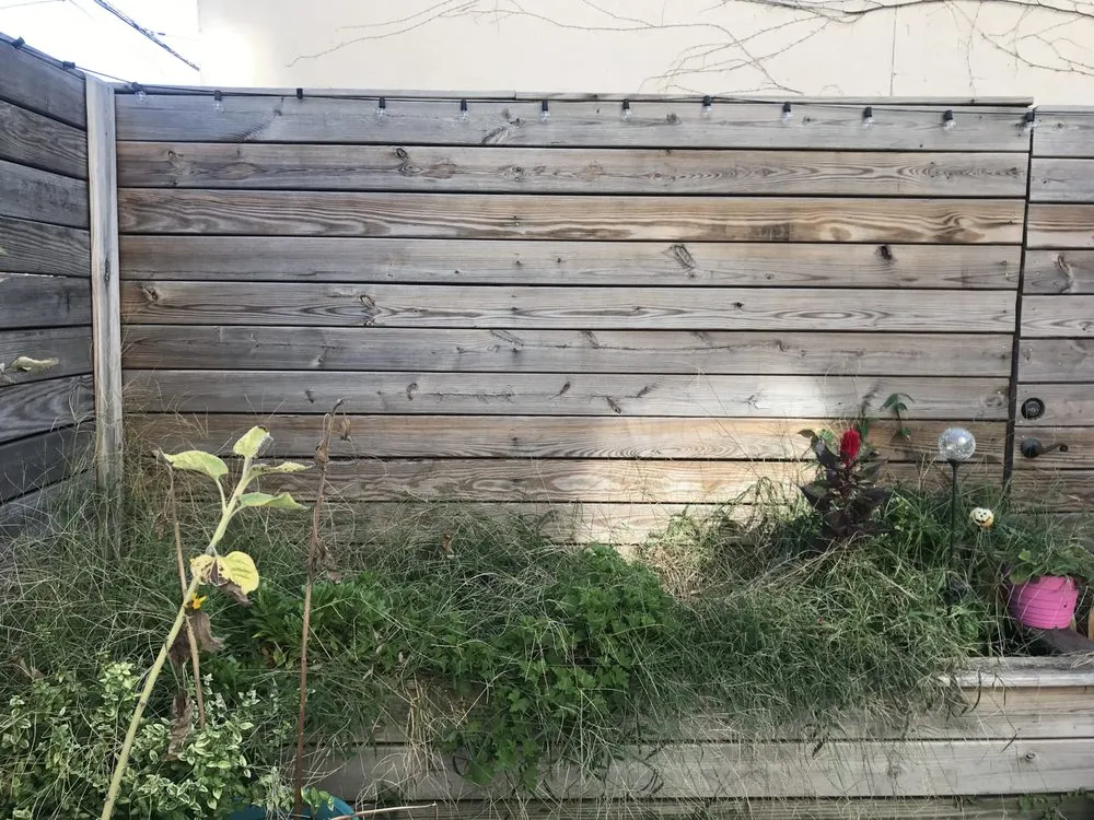 Trusted lawn care service for residential properties in Philadelphia, PA by Eating for the Ecosystem