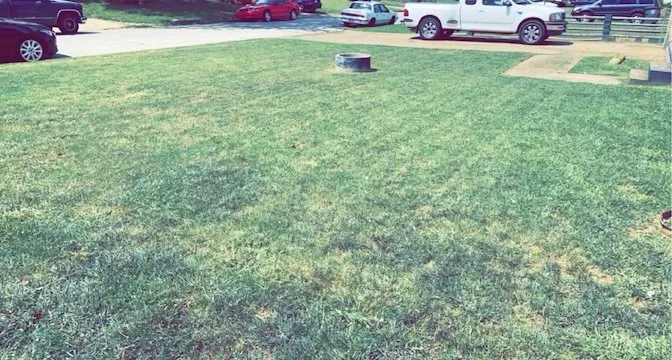 Custom lawn care service experts serving Tulsa, OK - Eating Off Grass