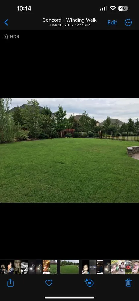 Professional yard maintenance in Charlotte, NC by Eaton Lawn Care