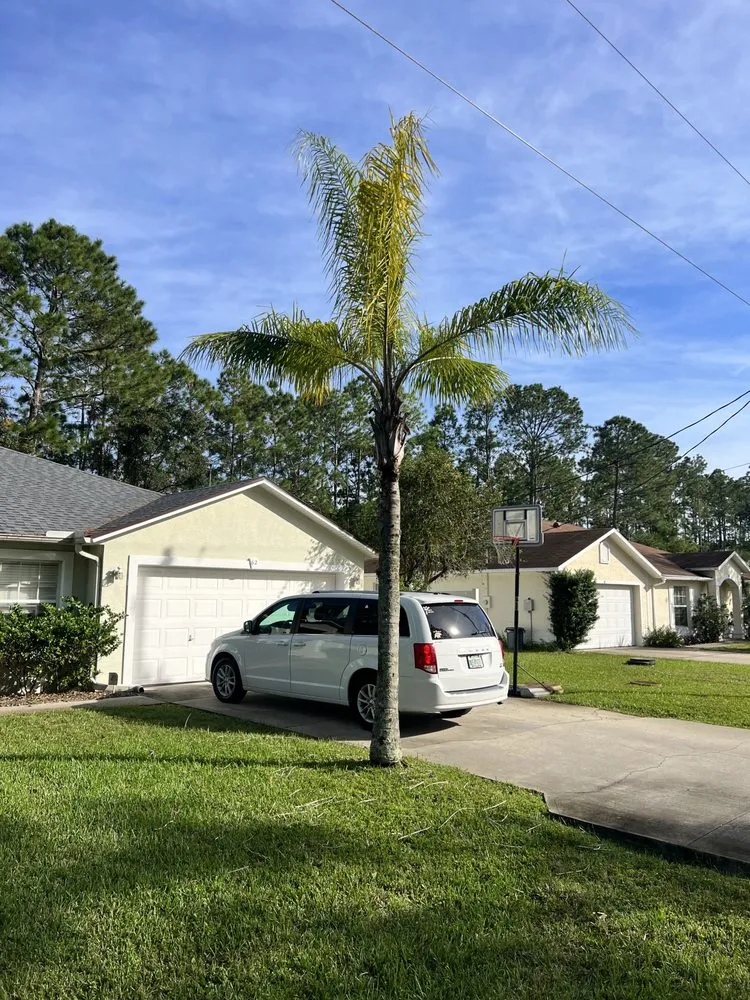 Top-rated landscape design in Hastings, FL by Eaton Outdoor Solutions